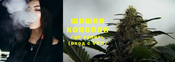 гашик Белокуриха