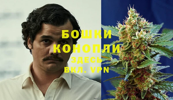 сатива Богородицк